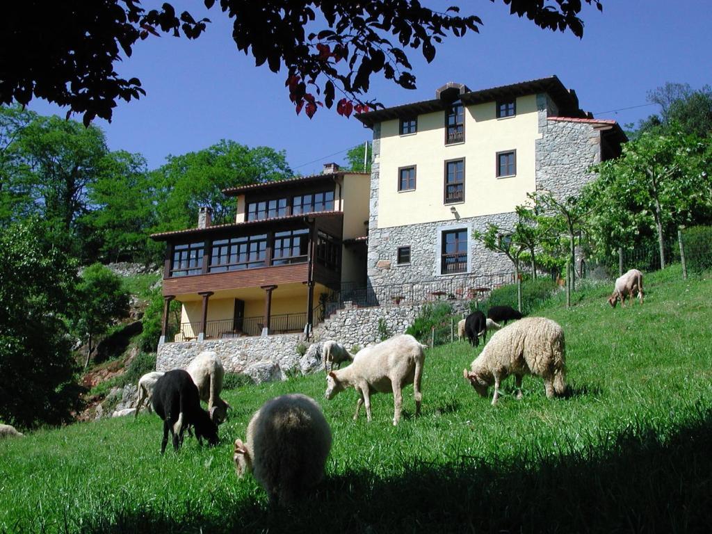 Hotel Posada Del Valle Collía Eksteriør bilde